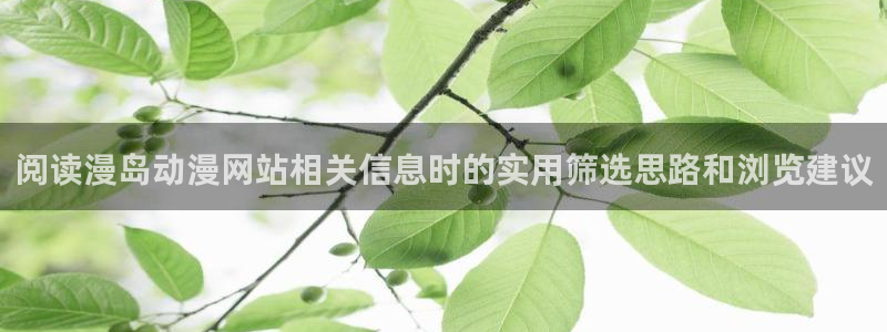 花滑动漫:阅读漫岛动漫网站相关信息时的实用筛选思路和浏览建议
