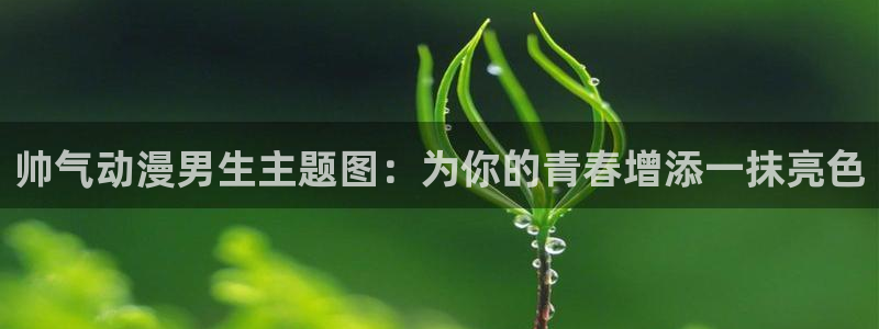 91在线观看动漫：帅气动漫男生主题图：为你的青春增添一抹亮色