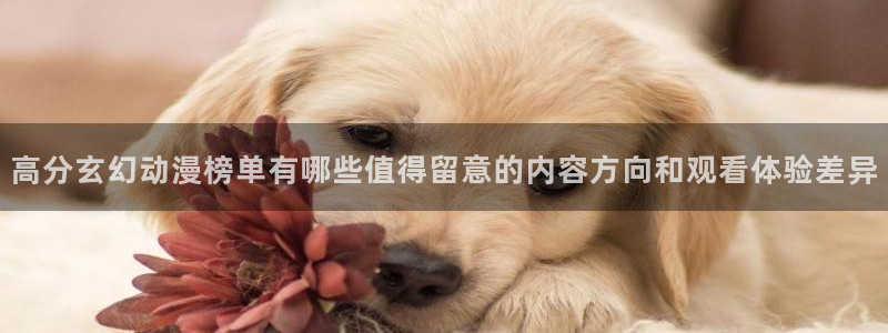 肯普法免费动漫:高分玄幻动漫榜单有哪些值得留意的内容方向和观看体验差异