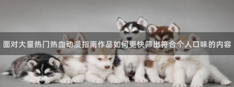 cc看动漫:面对大量热门热血动漫指南作品如何更快筛出符合个人口味的内容