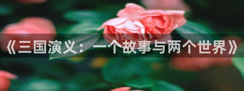 泡在我家的黑田同学动漫免费观看完:《三国演义:一个故事与两个世界》